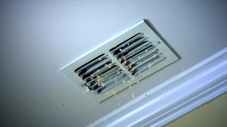 Best Ductwork Cleaning Services  in South Vacherie, LA