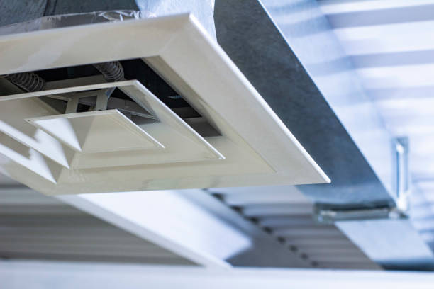Best Air Duct Mold Removal  in South Vacherie, LA