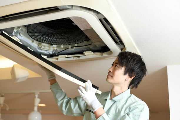 Best Professional Duct Cleaning Services  in South Vacherie, LA