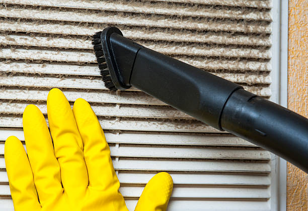 Best Home Air Vent Cleaning  in South Vacherie, LA